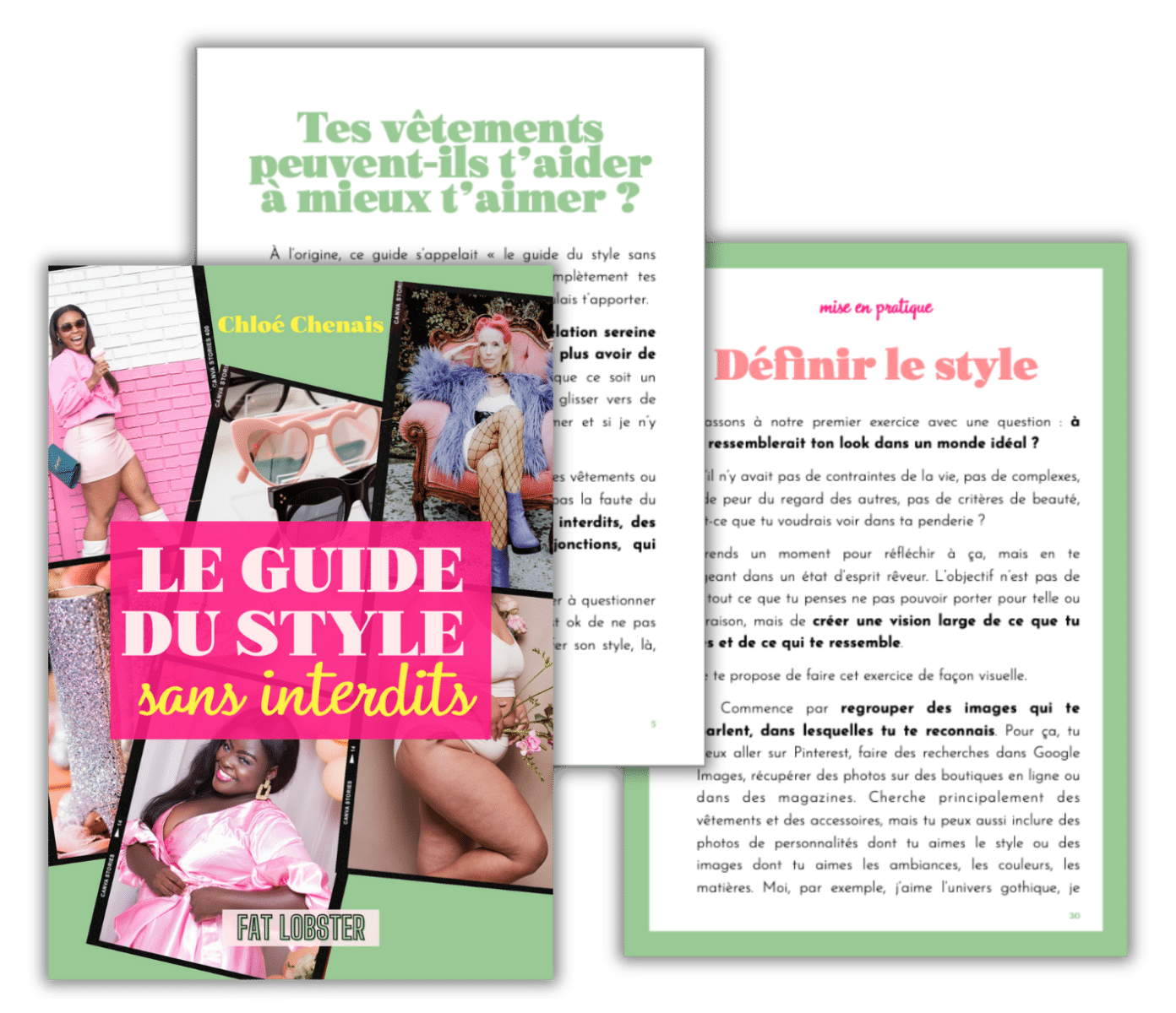 Aperçu de la couverture et du contenu du guide du style sans interdits